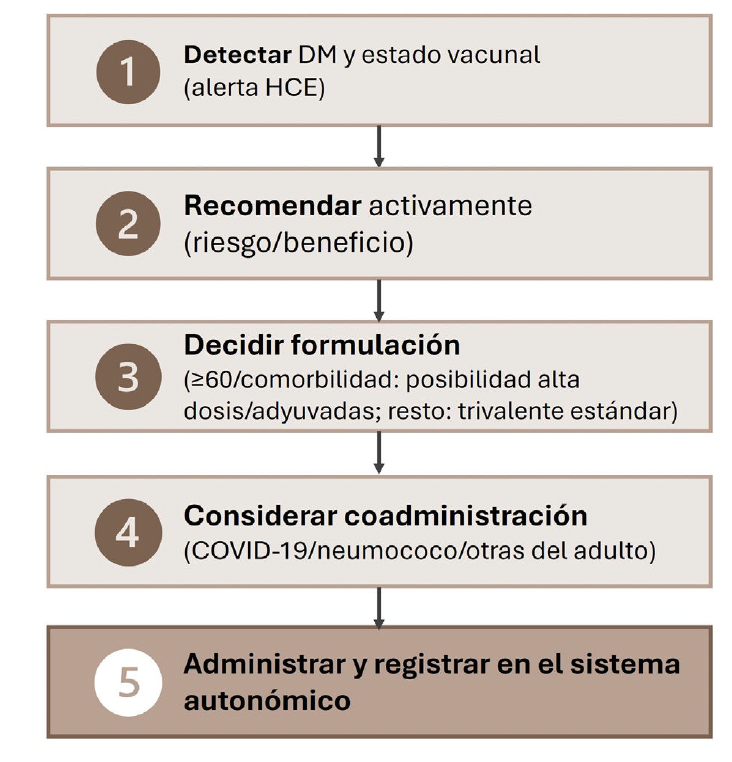 SEDiabetes's tweet photo. ¿Por qué importa vacunar de gripe a las personas con diabetes? 

Mayor vulnerabilidad inmunitaria, peor control metabólico y más eventos cardiovasculares.

 La vacunación anual reduce hospitalizaciones, MACE y mortalidad, es coste-efectiva y puede ayudar frente a la resistencia antimicrobiana. 

Revisión en @endocDiabNutric 

 👇 

🔗 https://t.co/rO3ylqlqn7