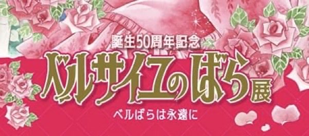 draculekon's tweet photo. @Buggy I was hoping there would be some connection between Mihawk and Candelle but it could just be a style choice by Oda. In the manga of the character Candelle is clearly inspired by, it uses the same font in the Japanese title. https://t.co/egCYpmUNRd