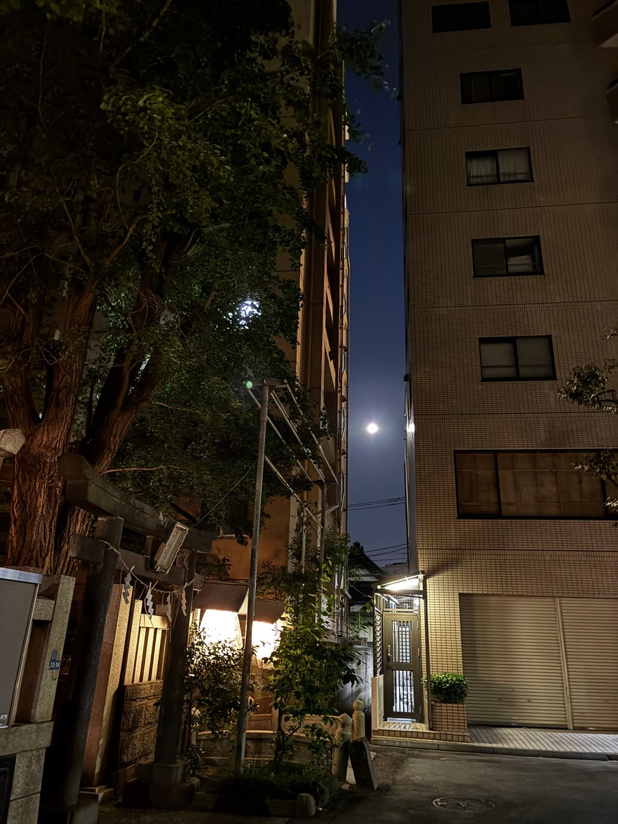 マイクロブルームーン 🌕