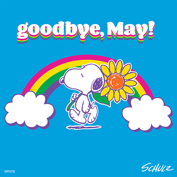 11Beehappy11's tweet photo. Bye. https://t.co/HiMQsM0HXb