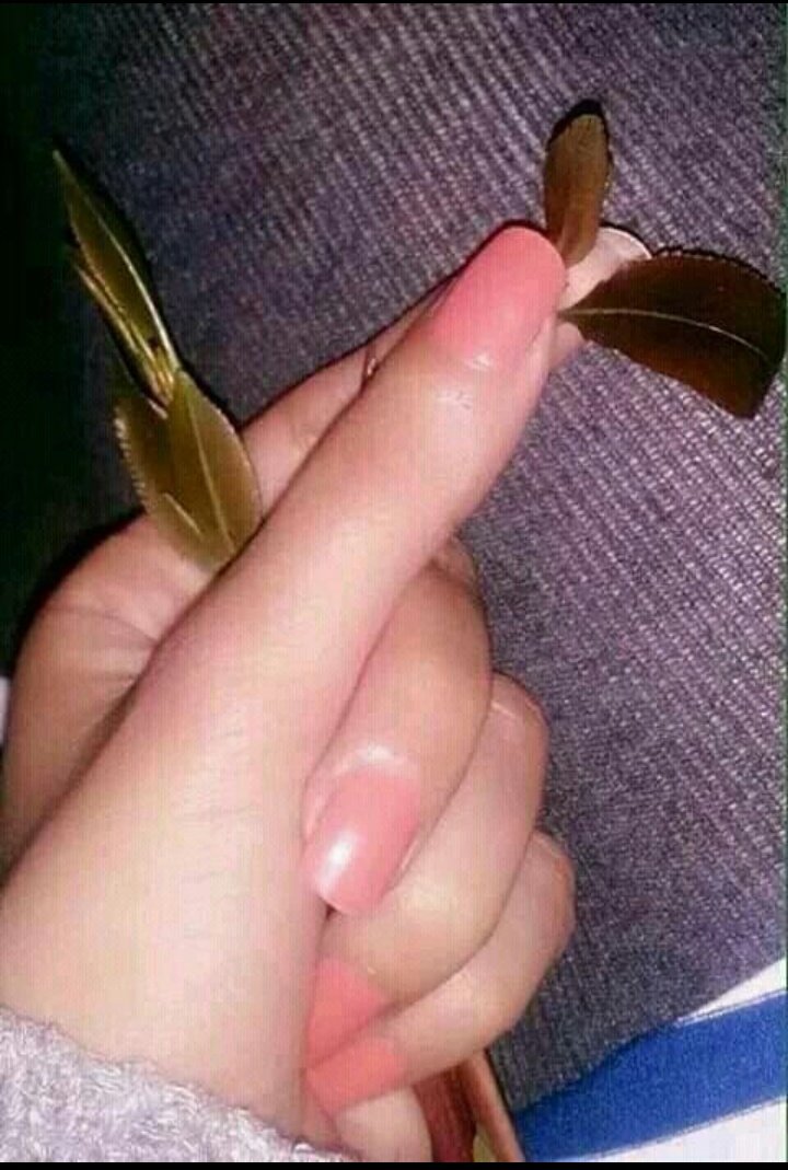 يمنيية 🌹 tweet media