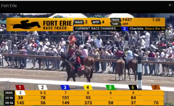 Raps7's tweet photo. Good crowd for Opening Day @Forterieracing https://t.co/agCyKflnJs