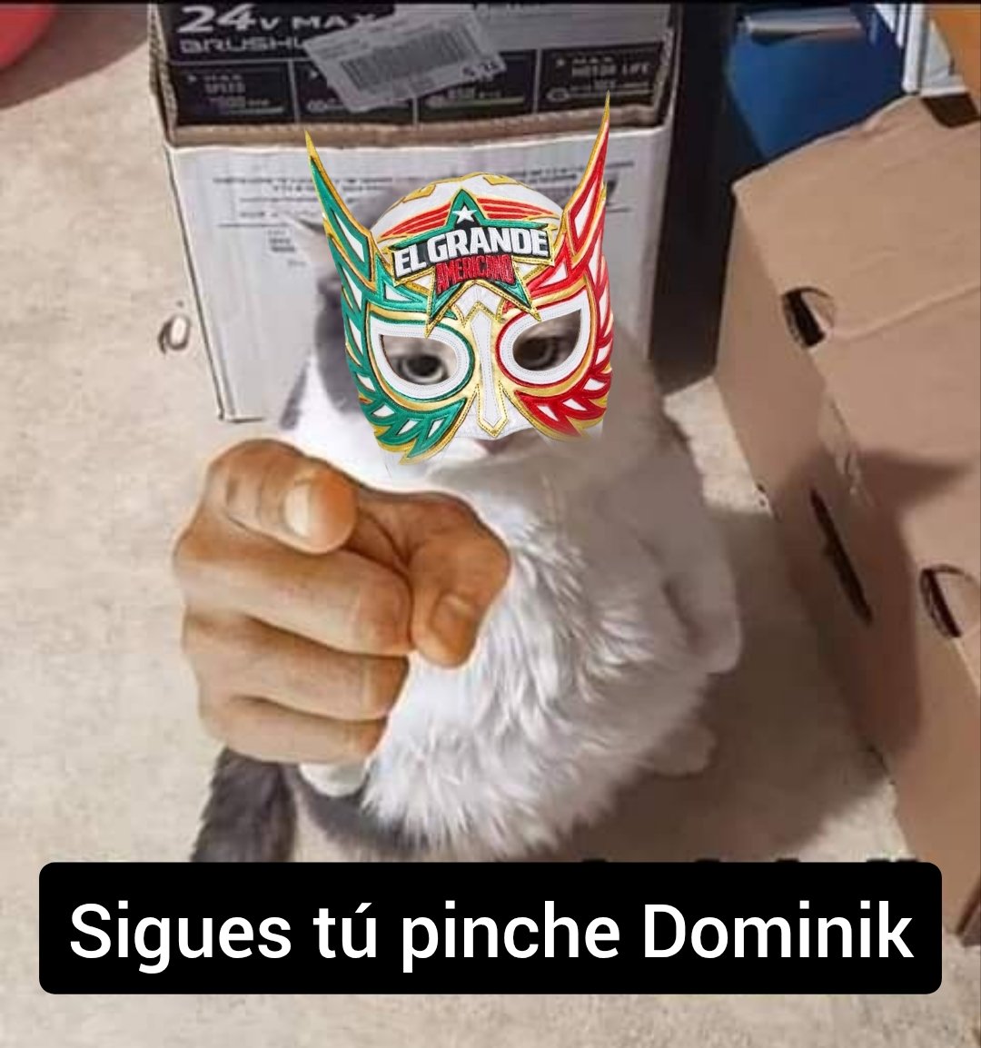 MrDabliuh's tweet photo. El siguiente paso, acabar con ese fraude y conquistar el Megacampeonato. https://t.co/vU8X0Dyeot