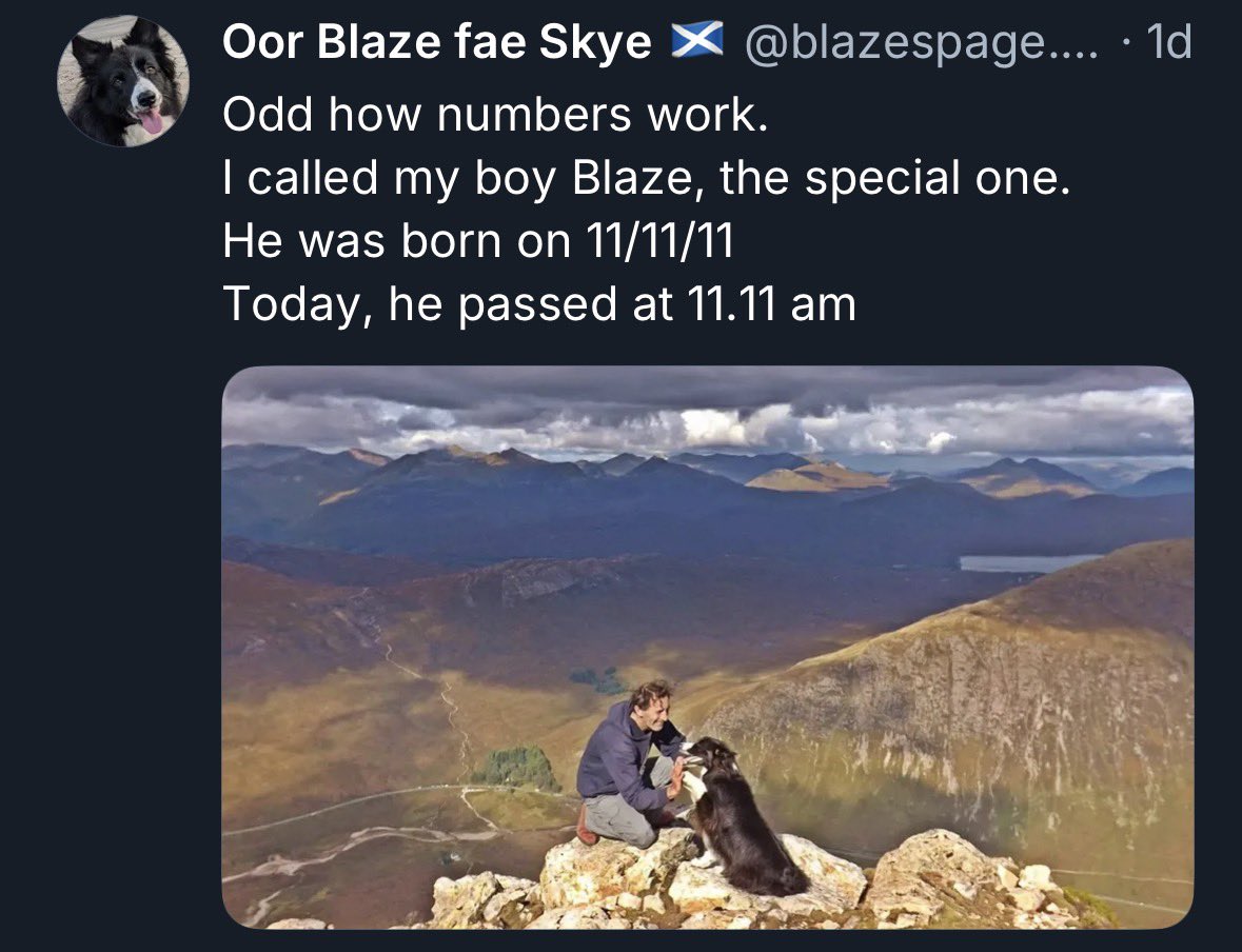 twentysixbux's tweet photo. Blaze has gone ahead to explore new mountains without his dad. Send him some love if you’re on Bluesky 💙💙💙💙💙 🐶 🏴󠁧󠁢󠁳󠁣󠁴󠁿 https://t.co/htYeubKEzQ