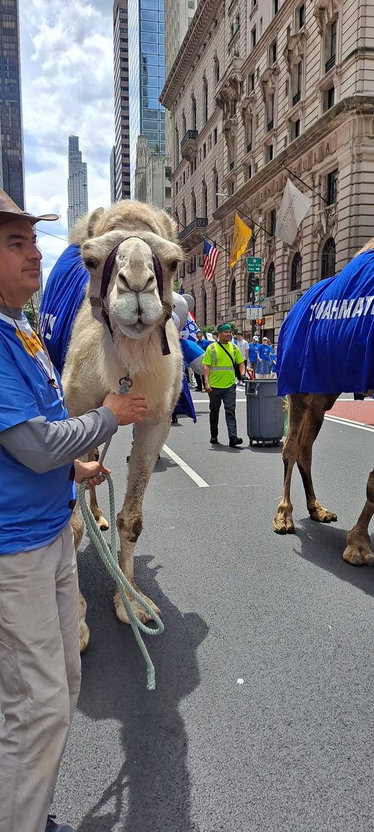 HowardEpstein7's tweet photo. @rafaelshimunov @NYCCouncil @NYSA_Majority @NYSenate Spotted Rama Duwaji at the parade. https://t.co/iQQX4t8Q9Q
