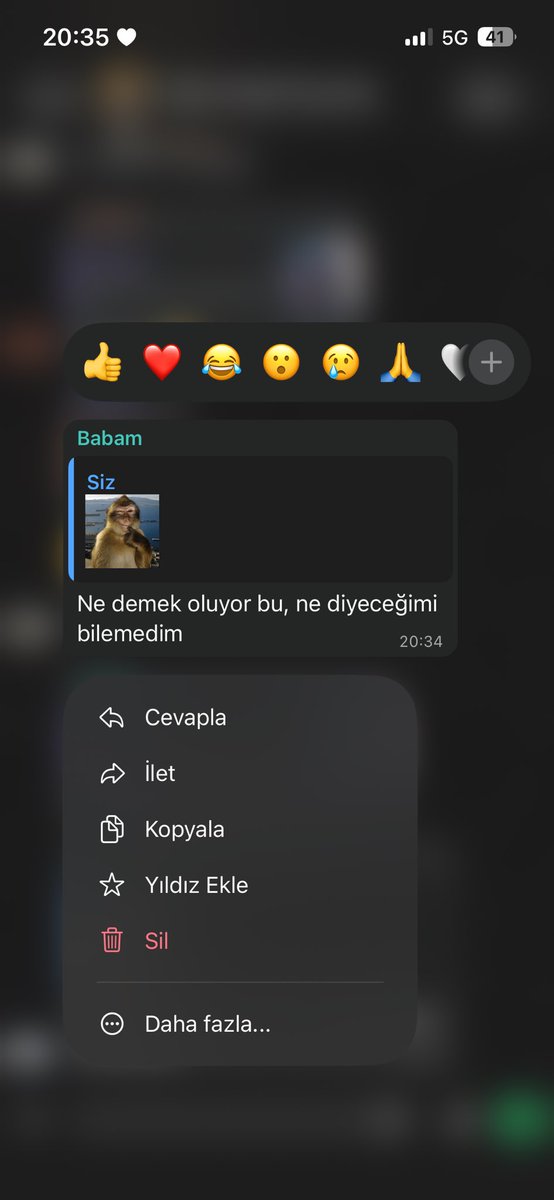 cotyledon002's tweet photo. ebeveynler niye stickerları anlamıyo https://t.co/0MvB7hEdT6