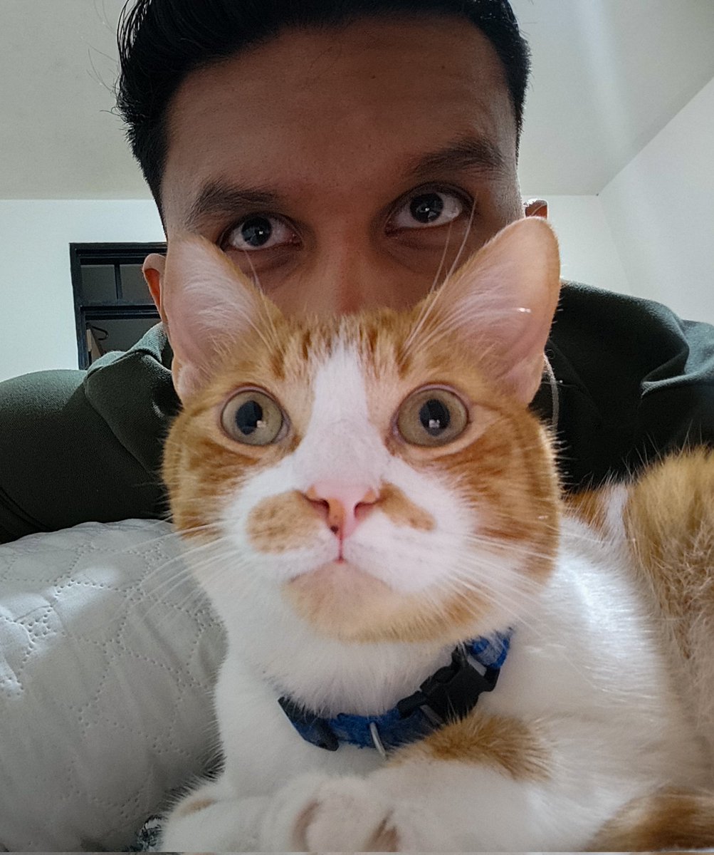 JulianOme's tweet photo. Amo a mi gato https://t.co/Q01hfVNlDf