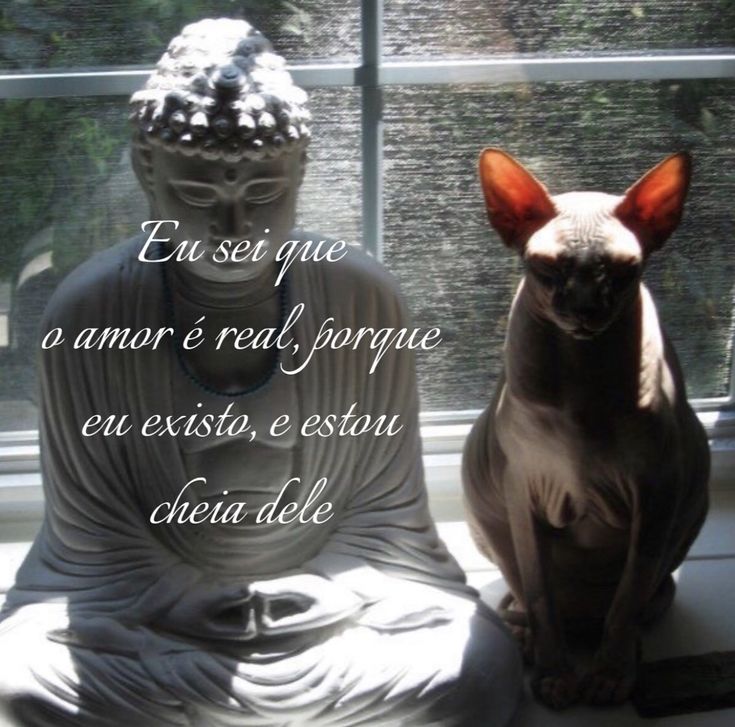 Clareza Mental tweet media