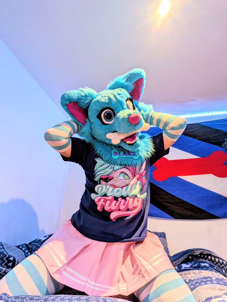 BlueFluffyDoggo's tweet photo. Felt cute, might delete later.

#femboy #furry #skirt #thighhighs https://t.co/JrAa0Y6gu0