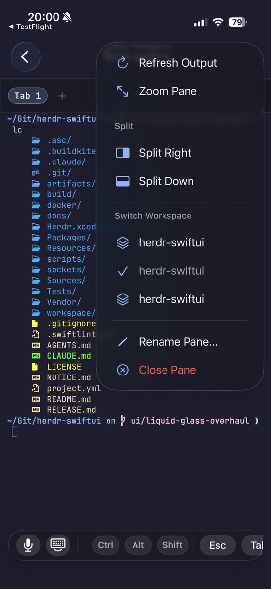 vburojevic's tweet photo. Ok, would anyone actually be interested in @herdrdev native iOS/macOS/iPadOS apps powered by Ghostty (libghostty)?

I’m building them and using them privately, but having second thoughts of putting the extra work into it to be production ready and open source.

Do you guys think herdr TUI is enough?

This is ghostty + herdr in screenshot below.

And thanks to @mitchellh and @lumendriada for building such amazing opensource.