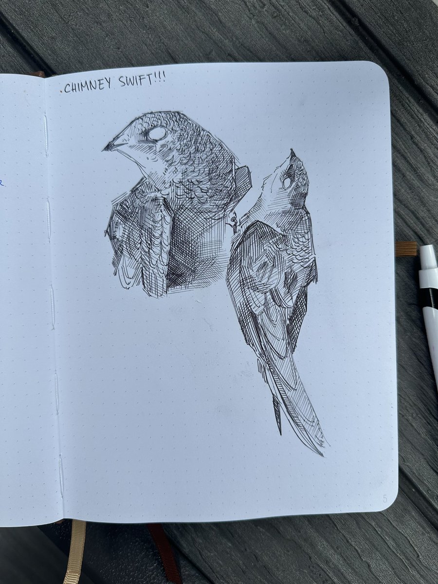 biltzled's tweet photo. some recent sketches https://t.co/v9OdPOjBOG
