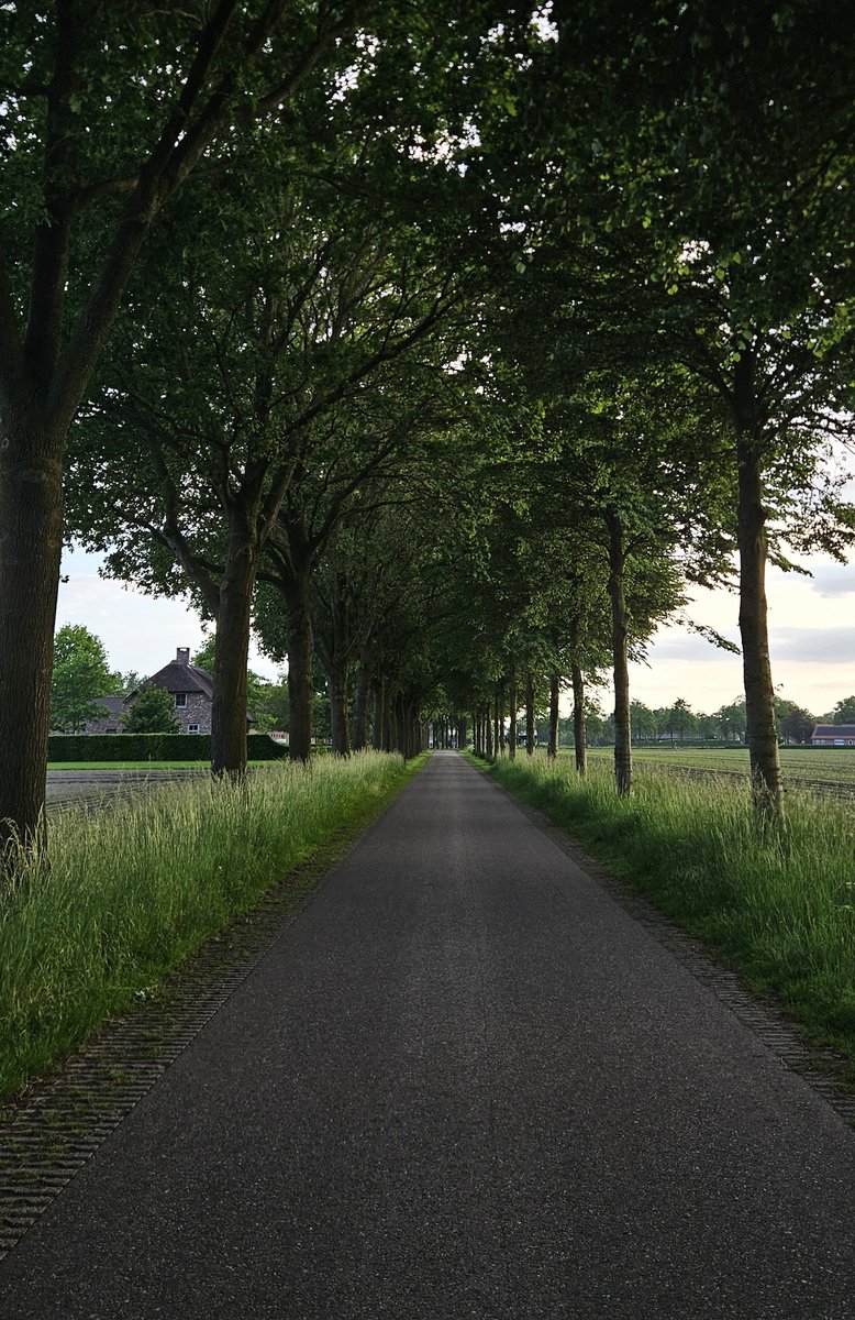 Luuk tweet media