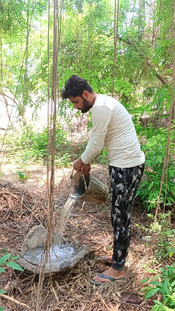 vaibhavsingh099's tweet photo. आज #पशु_पक्षी के विभिन्न स्थानों पर मिट्टी के बर्तन में पानी रखा जिससे आसानी से प्यास बुझा सके और आप सबसे भी निवेदन है की #गर्मी आ गई है जिससे पशु पक्षी पानी के लिए उधर से इधर भटकते है आप घर के अगल बगल किसी मिट्टी बर्तन मे पानी भरकर छावं जगह पर रख दे
#जय_श्री_राम🙏🚩 https://t.co/2eCp3Fo8UQ