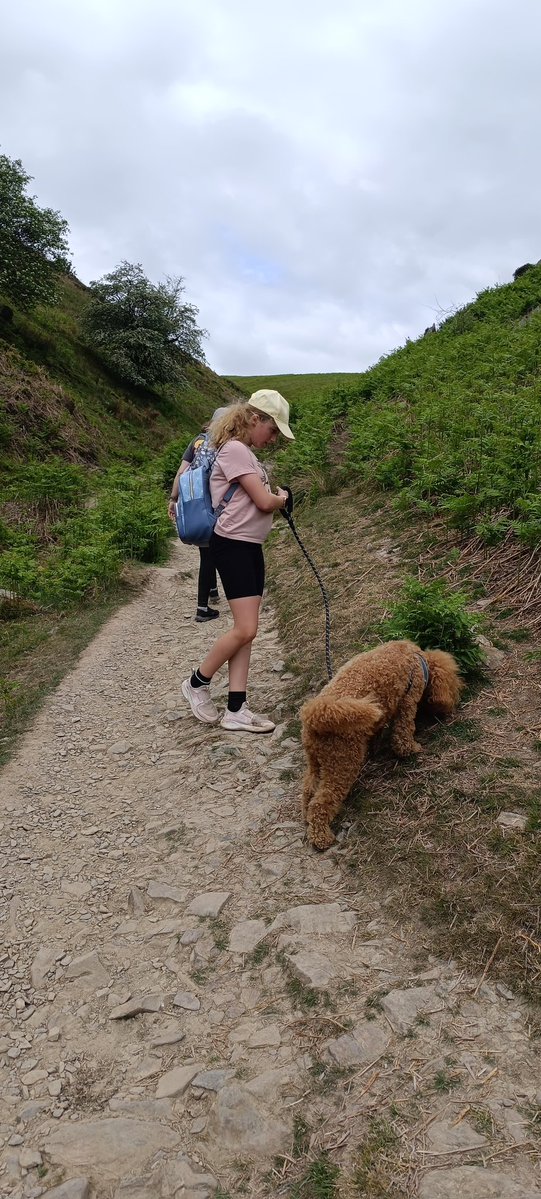BaileyCockerpoo's tweet photo. Hi Woofers! 

Oh my achin pawsies! What a day out wiv HooDad, HooMum an der small hairy Hoomun! 12,762 steps, up an over rocks an through der water! Now home, bathed an blow dried, lookin all floofy again! I even went snoozies in der car comin home! 😴🐾🥾 https://t.co/J5vU3HkyNf