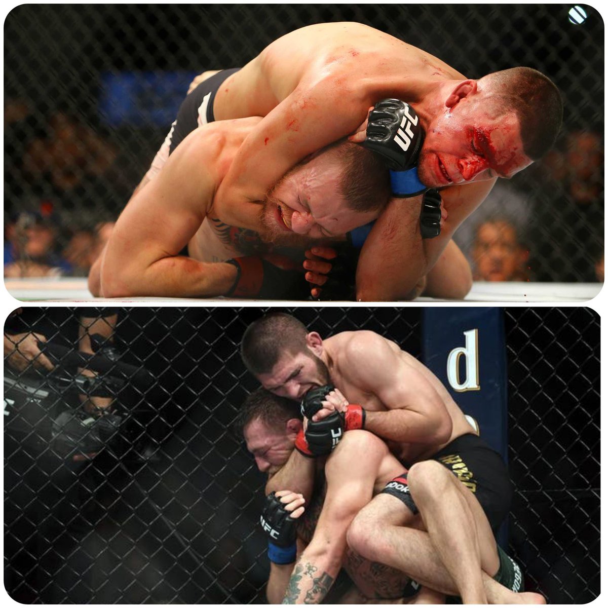 MMA Fan Wars 🎩⚔️⚔️ tweet media