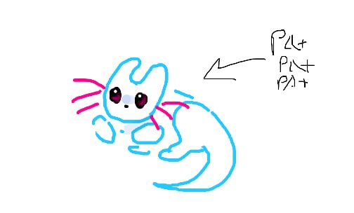 FGeneral3977472's tweet photo. AWWW https://t.co/y5fjZsdLId