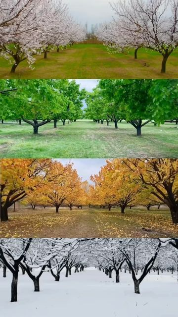 Nuorelhodaa's tweet photo. بكل فصل من فصول السنة #لبنان إلو جمالو خاص #مساء_الخير_والسعادة https://t.co/wm1uo9xepj