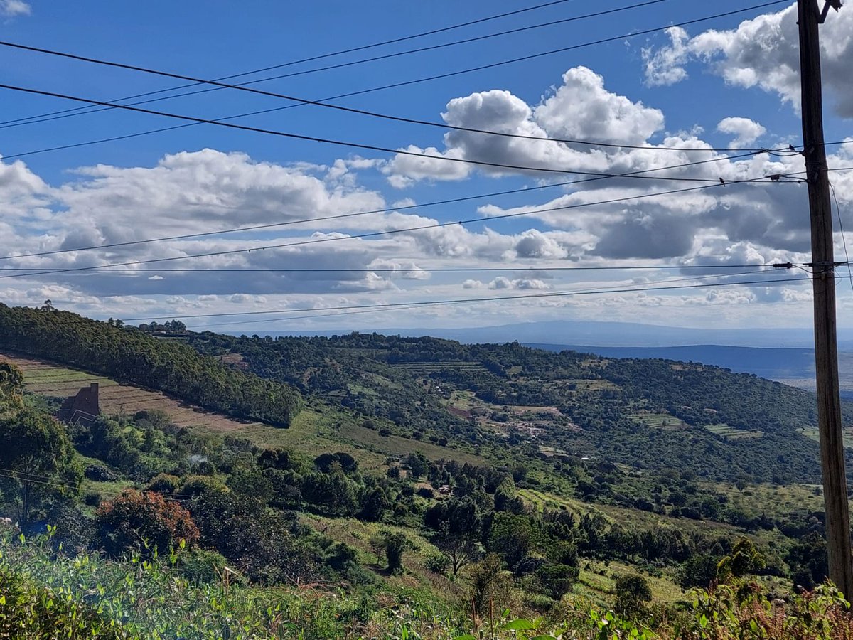 MoRidez's tweet photo. Most importantly, this drive showed me that people are willing to support something new when someone is brave enough to start it. Thank you to everyone who showed up, drove with us, and made the first #MoDrive a success. https://t.co/XWx88NZ6Vr
