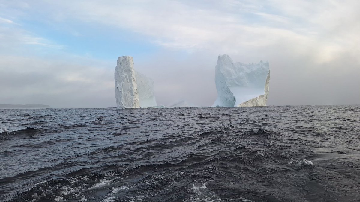 JongejanRichard's tweet photo. IJskoude kunst op zee...🧊
#Newfoundland #Canada
#Icebergs #FromTheArtic
#EnjoyLife #IceSculptures https://t.co/SCIX2sFXNf