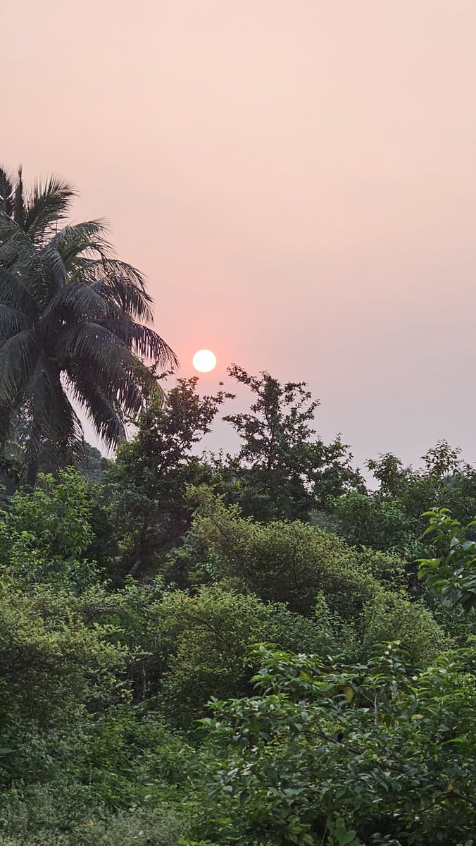 ansumanksn's tweet photo. Face of the #morning 
This morning is bringing the deeply rooted cultural and spiritual celebrations of #Odisha
The Raja Parba (The Festival of Womanhood &amp;Fertility )
Sital Sasthi Yatra (the divine marriage of Lord Shiva &amp; Maa Parvati )
And  Deva Snana Purnima https://t.co/AiAjnHes7W