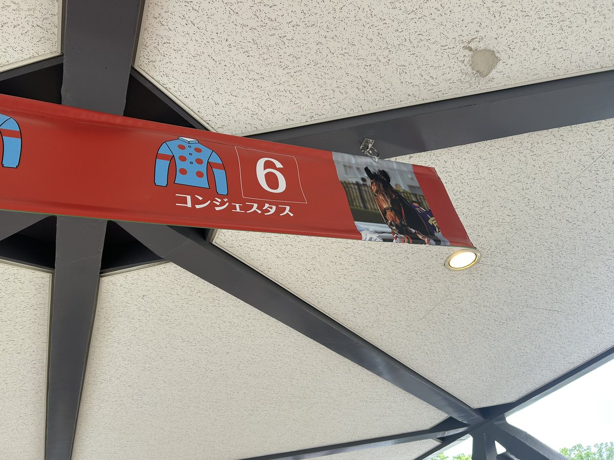 hiro6704's tweet photo. ダービーお疲れ様でございます♪
コンジェスタス菊花賞宜しくお願い致します🙇 https://t.co/ek7DsaFKcV