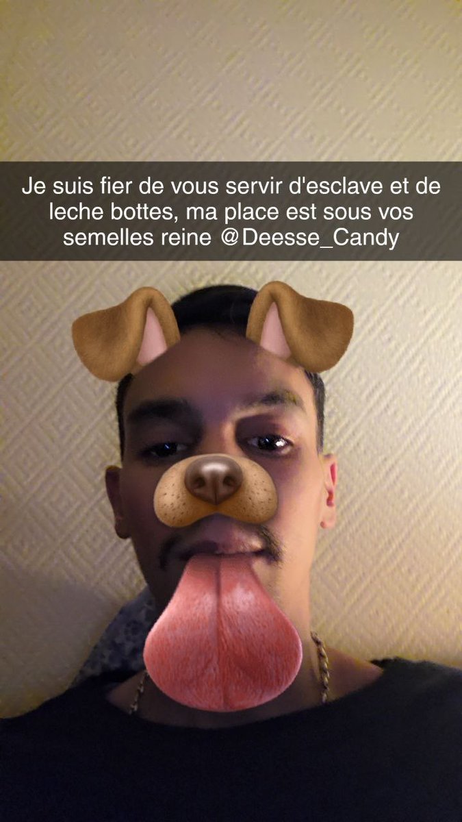 Deesseecandy's tweet photo. Bon chien 🙇🏼 https://t.co/PSHHk5R8tM