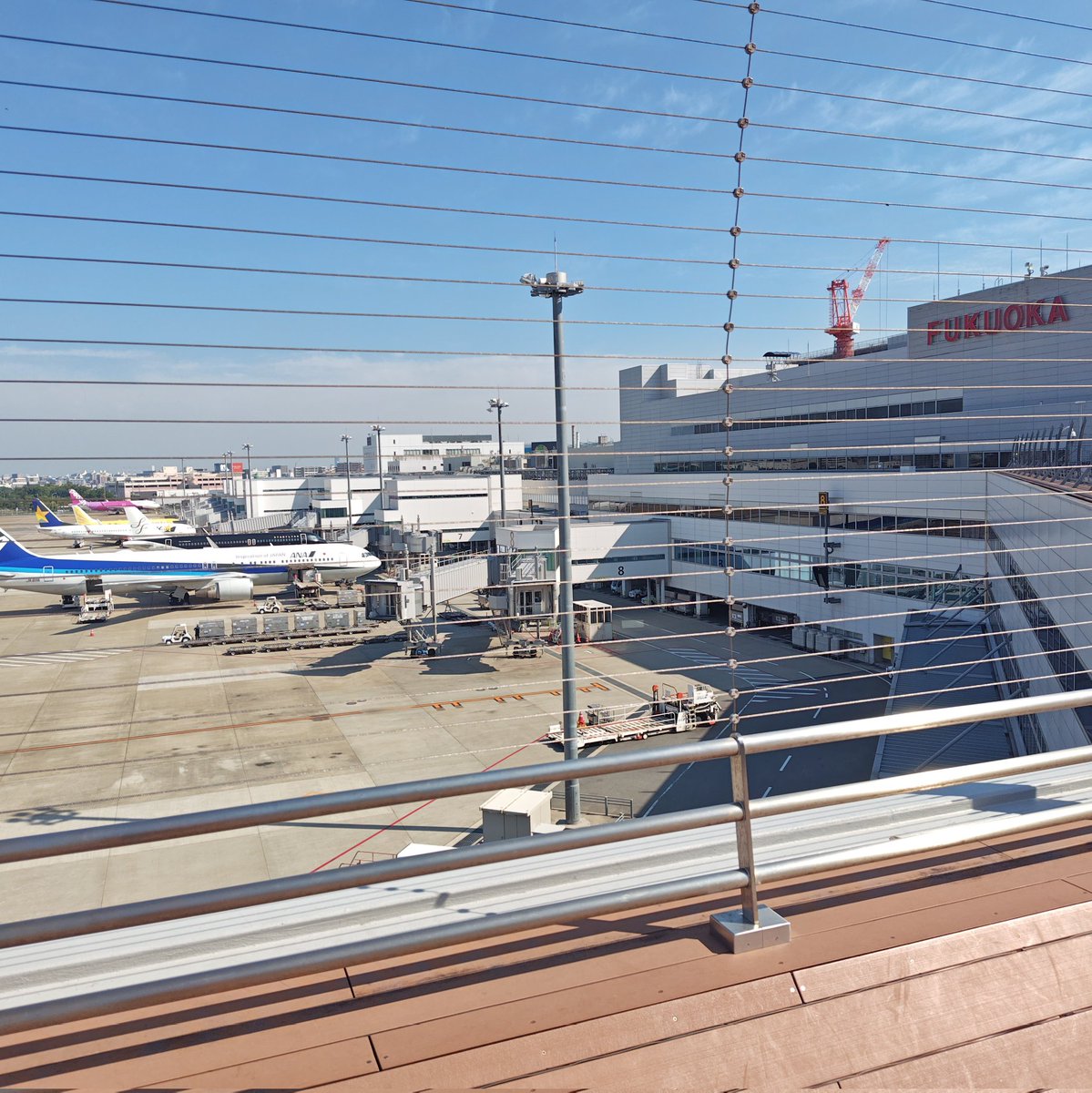 yakitodo's tweet photo. #なつみかんバスツアー 
の翌日
マックで朝食をとり、福岡空港✈️の展望デッキで、博多通りもん(あまおう🍓味)を食べながら、搭乗まで休憩☕ https://t.co/NaCzOjD32z