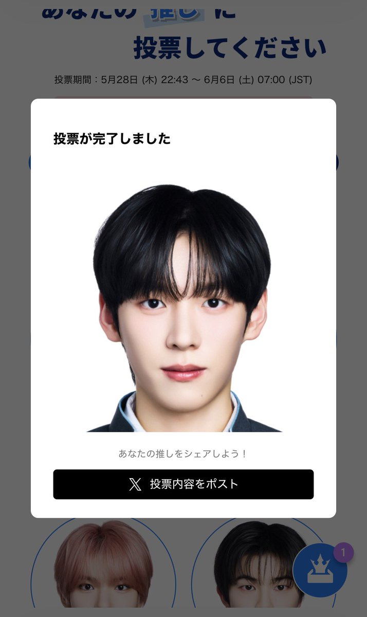 安月 tweet media