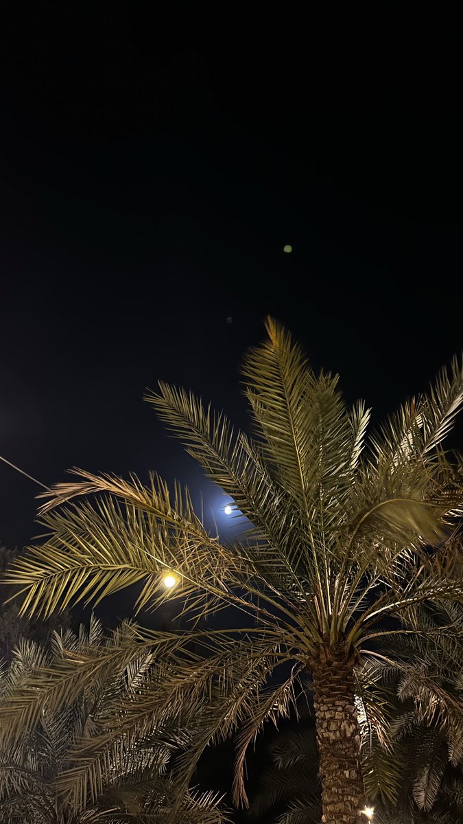 imona_x's tweet photo. مثل القمر في عتمة الليل ظاهر.. https://t.co/Rkbu3MnLVs