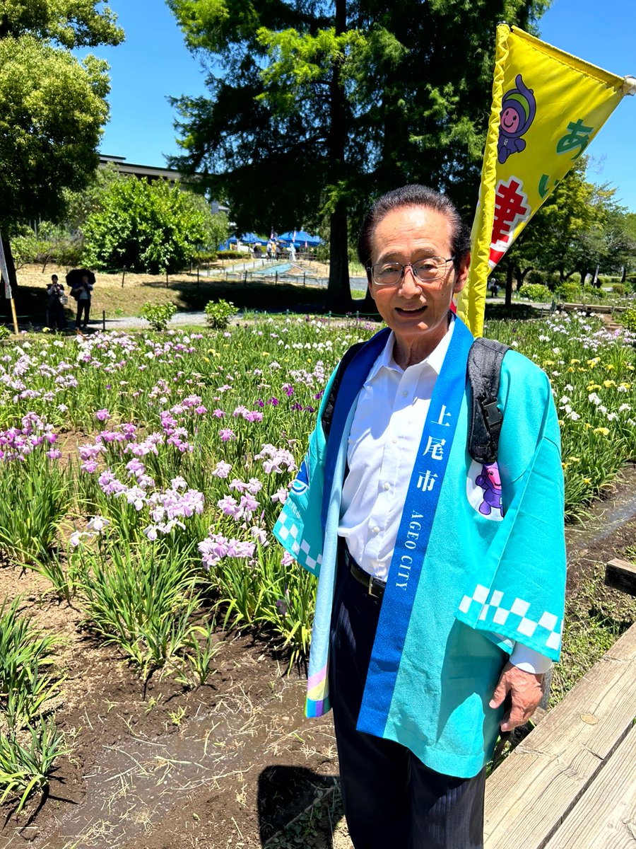 mayorageo's tweet photo. #上尾丸山公園 で #あげお花しょうぶ祭り が開催中！今年は例年より開花が遅く見頃はこれからとのこと。今は咲き始めの可憐な姿を楽しめます。6/12まで開催しており、次の土日も出店があります。昨年植えたアジサイも咲き始めており、満開に向けて移ろぐ季節の表情を、ぜひ直接感じてみてください。 https://t.co/PVHWB1MLnA