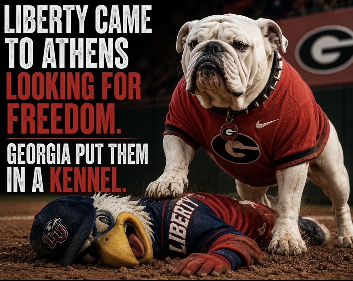 Number1Sigmaa's tweet photo. @LibertyBaseball The ump doesn’t have an X account so I’m meming you. https://t.co/iAKMrpE1DR