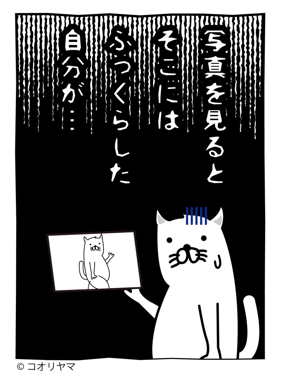 koube_neko's tweet photo. 本日は写真の日です。実際に体験した話をしますが、怖い話が苦手な方は読まないでください…。 https://t.co/3FV6LbWk3m