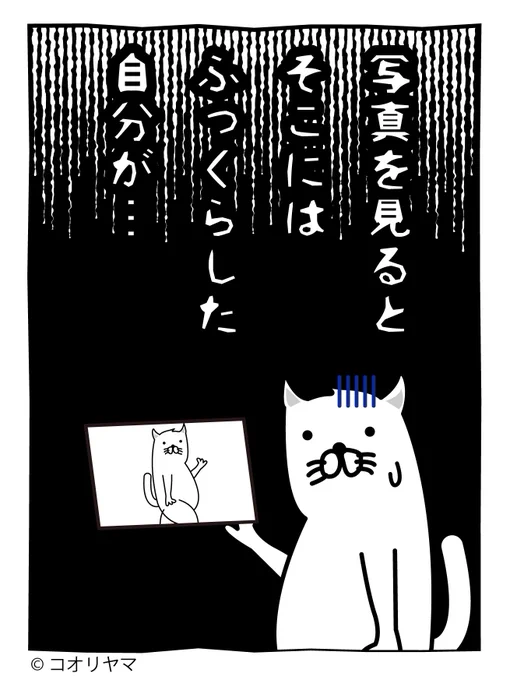 本日は写真の日です。実際に体験した話をしますが、怖い話が苦手な方は読まないでください…。 