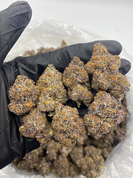 exotics45862's tweet photo. Rocky Mount 252, Wilson 252, Hickory 828 &amp; Goldsboro 919! 🔥🌿🍃 Weed loud zaza exotic plug shrooms 🍄 bulk shipping DM NOW 📍👇 Tag a buyer #RockyMount #Hickory #NorthCarolina420 https://t.co/8XKZ00QbMz