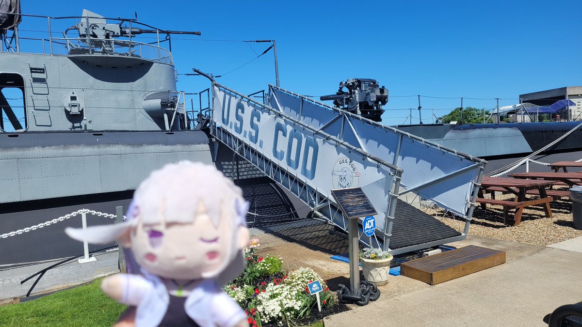 KyubiBlitz's tweet photo. EMT at the USS Cod

Pretty cool seeing the old tech and hearing the stories about how things were done https://t.co/DPHe2ZH0C8