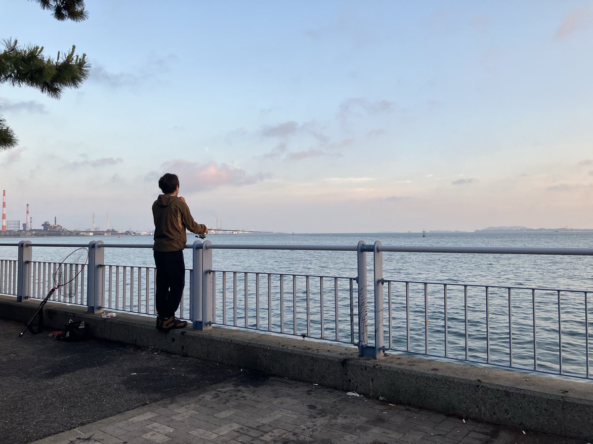 poko_dance's tweet photo. 毎年この時期限定で行動をともにする釣友のヒロさん🦑🌉
何の趣味でもそうだと思いますが価値観を共有できる仲間の存在は有難いしやっぱ貴重ですよね💎

最近はやたら渋井陽子🦑💦
それ相当に苦戦して成し得た釣果でもメスは撮影後に即時リリースとなります🌊🦑💨
めっちゃ美味そうですが...
残念...😢 https://t.co/nK6jC6EhRp