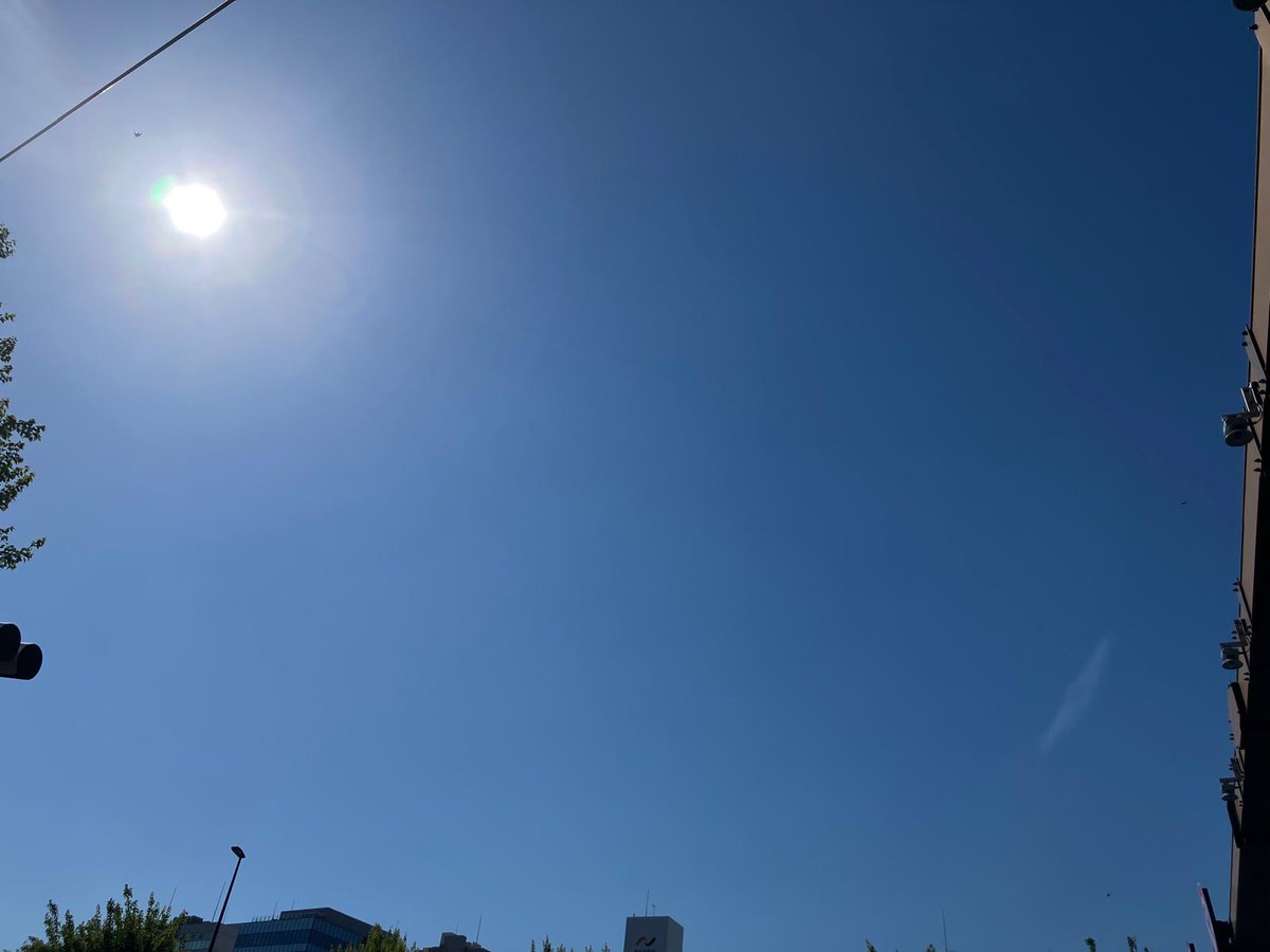 おはようございまーす！！ 6月！スタート！！☺☺ 気持ちのいい晴天