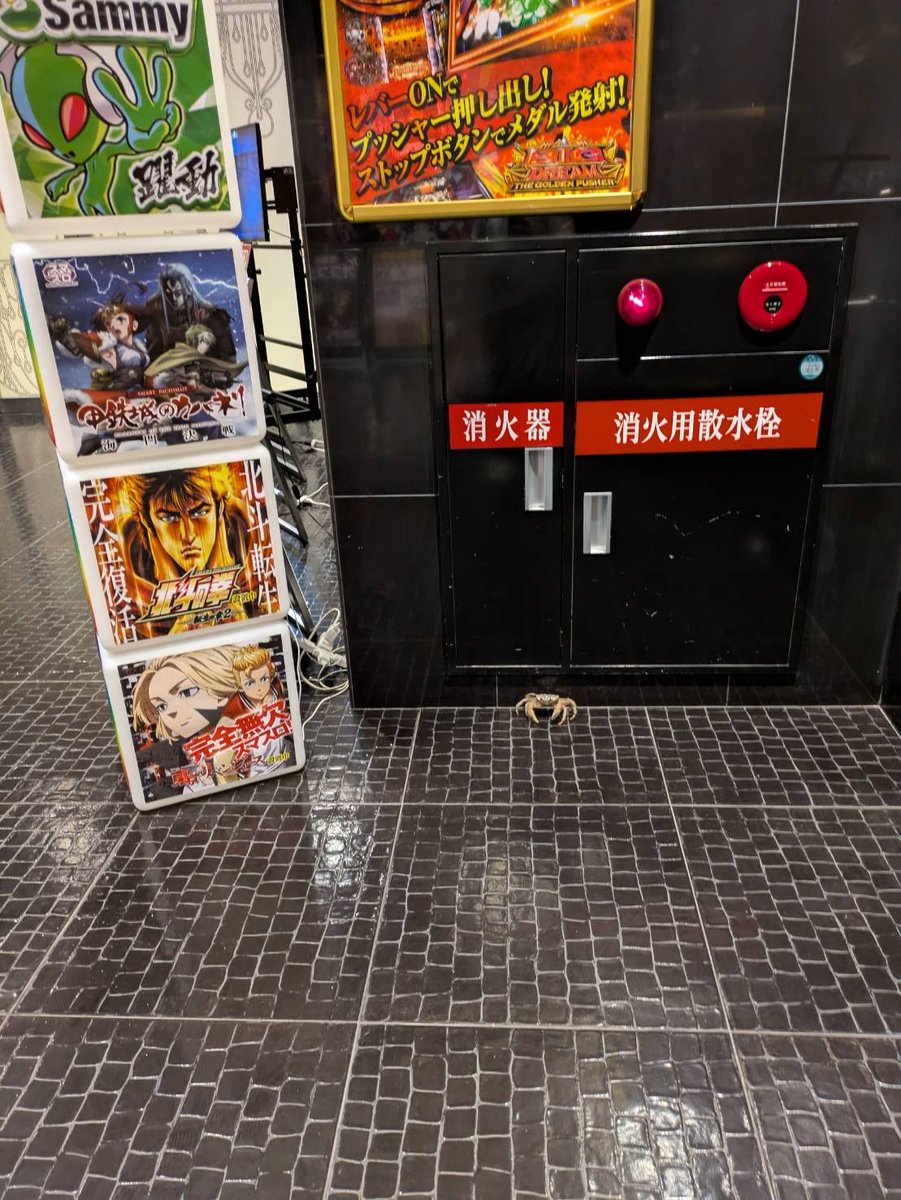 8131nakamur's tweet photo. 👀👀👀

店舗風除室にて
🦀さんも避難‼︎

わたしが業界に入社した際は台風時の営業は発電機まで準備し営業しておりましたがあれから数十年…

ご来店の際は十分にお気をつけてお越し下さい🙇‍♂️ https://t.co/iDToOL3qFm