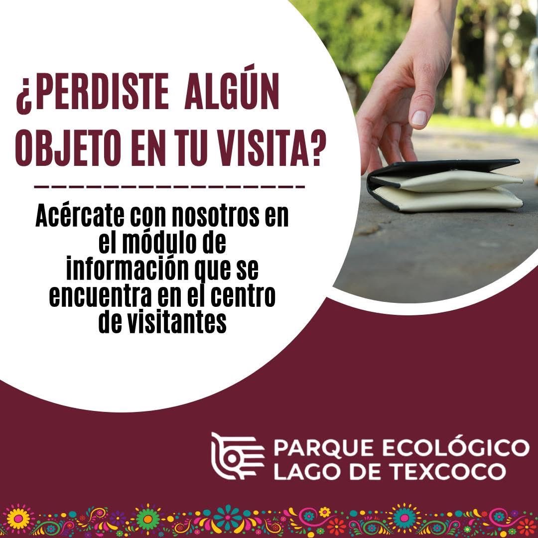 PELTexcoco's tweet photo. Recuerda que si perdiste u olvidaste algún objeto dentro de nuestras instalaciones, puedes acercarte al módulo de información en Centro de visitantes y preguntar por él 👀 https://t.co/GWEsDHdqOk