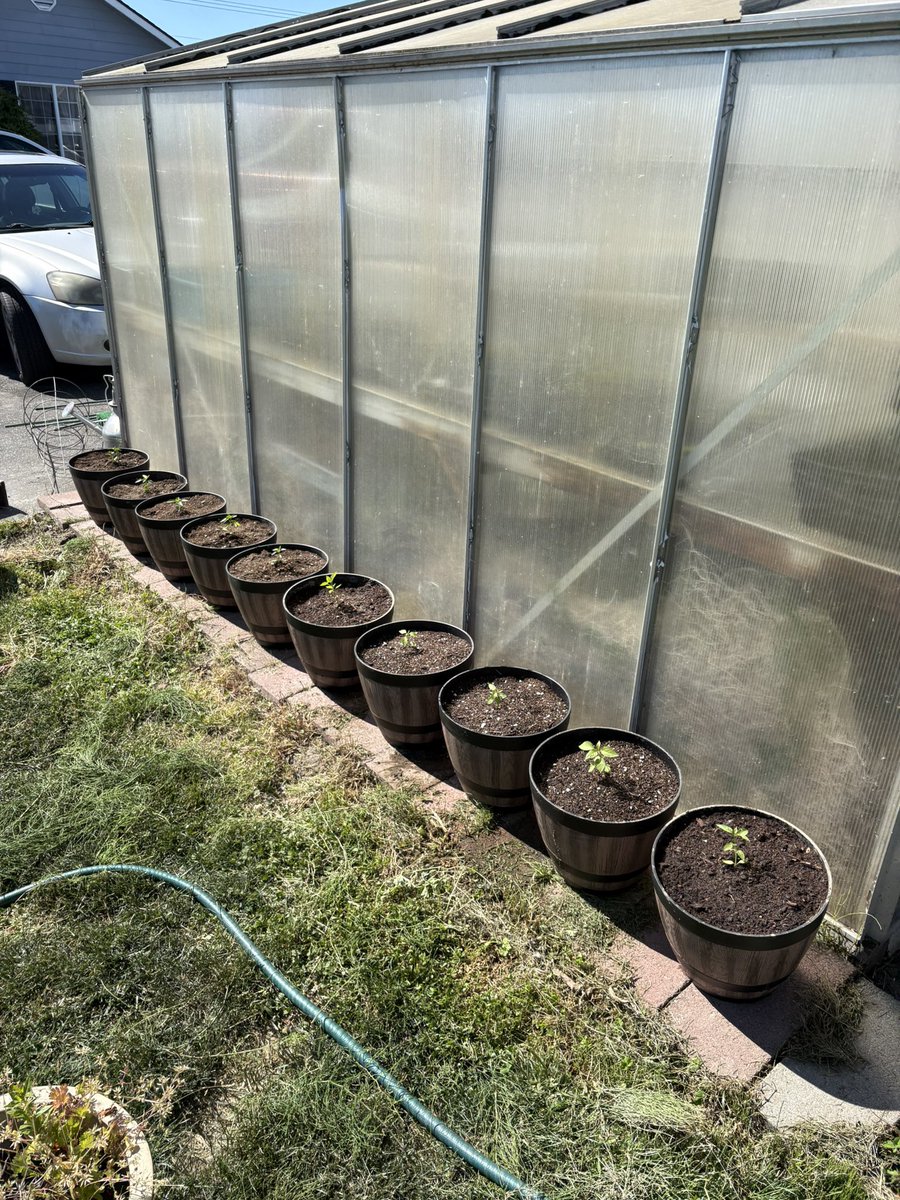 bryanvb98232's tweet photo. Looks like we will be having a spicy summer https://t.co/KwcvzwZEr7
