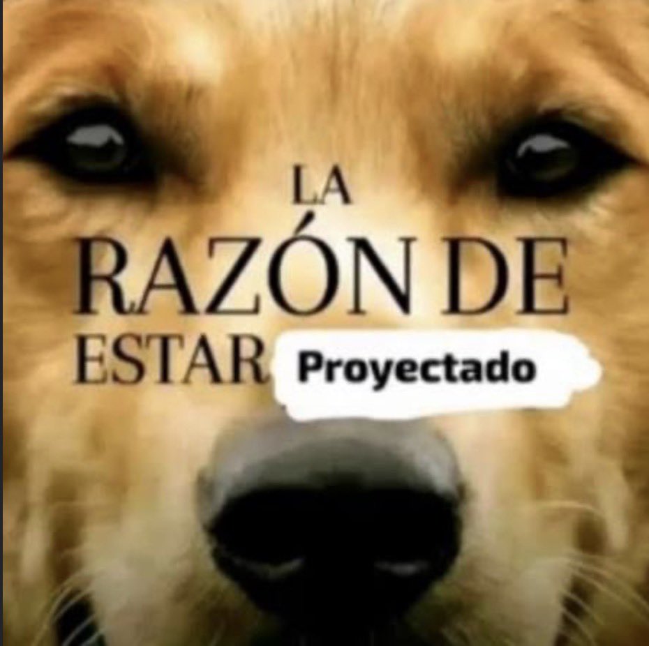 pipiiiopi's tweet photo. no le caigo realmente bien a nadie https://t.co/Pq7JGx5fQi