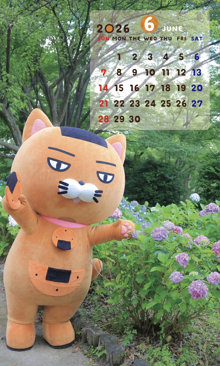 おはよニャーンฅ(ↀᴥↀ)ฅ🍘✨ 今日から6月ニャン🌷 今月もマイペース