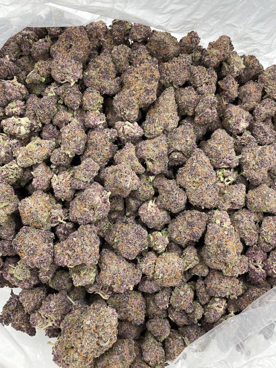 exotics45862's tweet photo. Kannapolis 704, Monroe 704, Sanford 919 &amp; Lumberton 910! 🔥🌿🍃 Weed gas ⛽ loud exotic plug shrooms 🍄 NC bulk shipping DM NOW 📍👇 Comment if ready #Kannapolis #Monroe #NorthCarolina420 https://t.co/XSVs9JD4VN