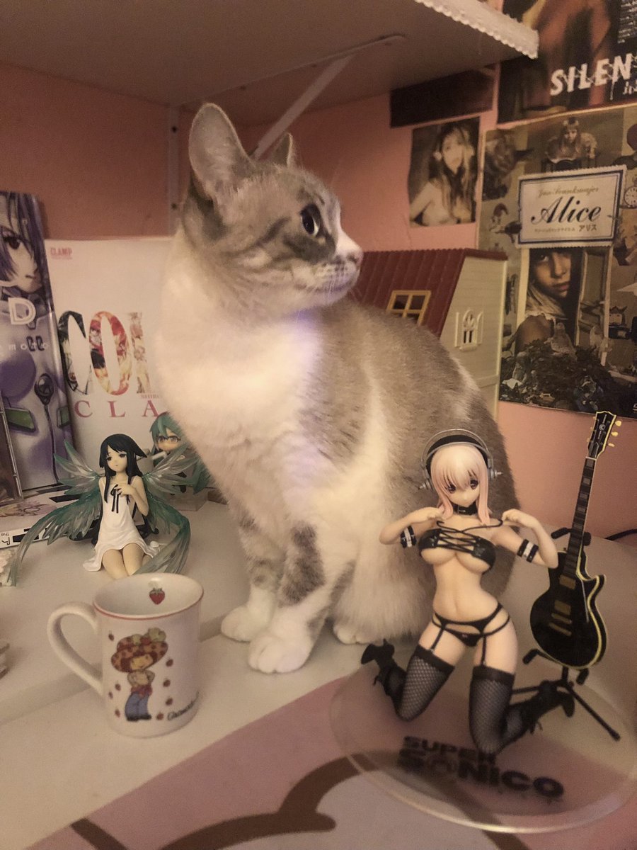 ˚₊‧꒰ა ♱ ໒꒱ ‧₊˚ tweet media