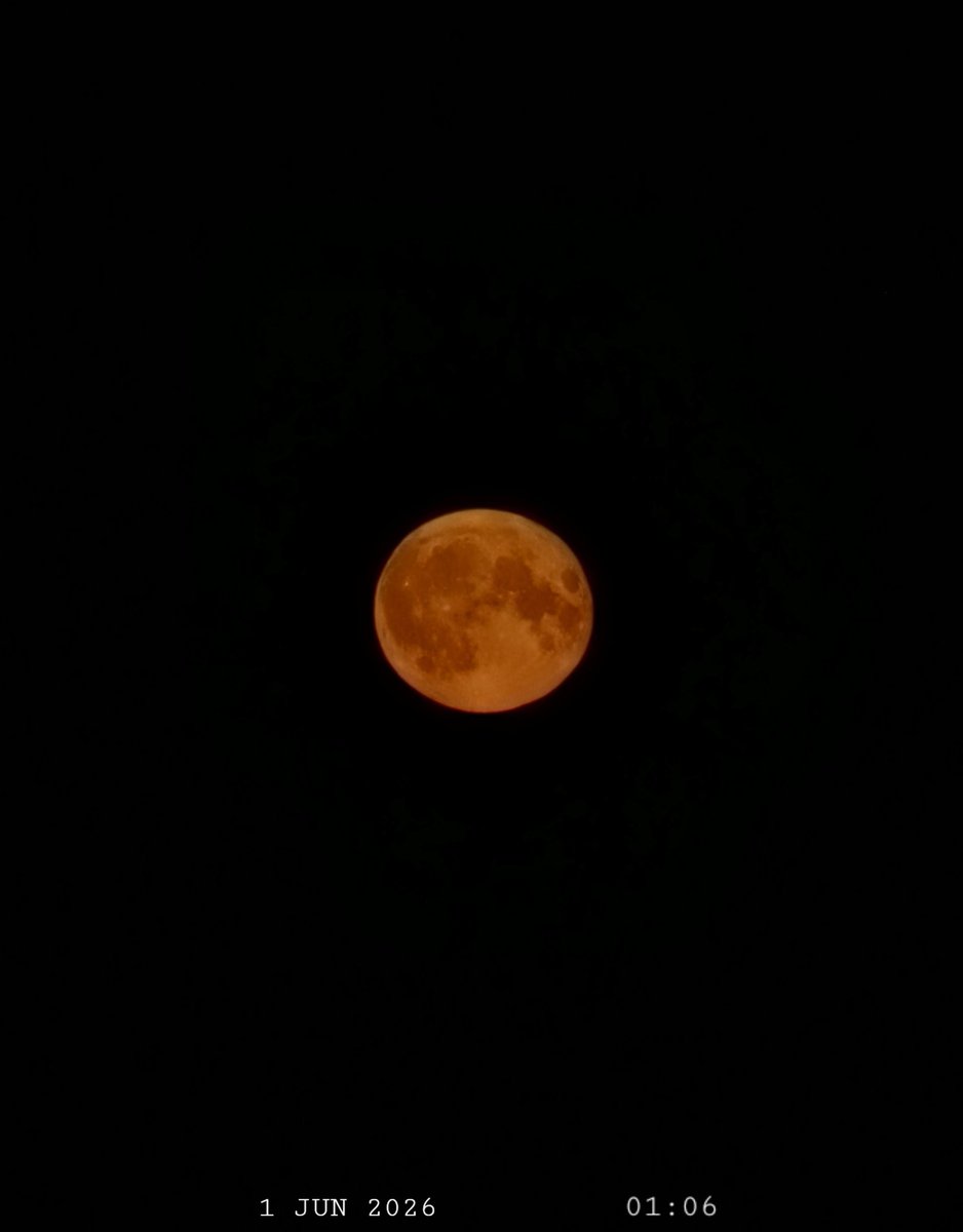 IDadzkov's tweet photo. Decrescent almost Full Moon (99%) tonight. 30×
Убывающая почти полная Луна.
#nature #Moon #FullMoon #MoonPhoto #FullMoonPhoto https://t.co/frYowIJuAS