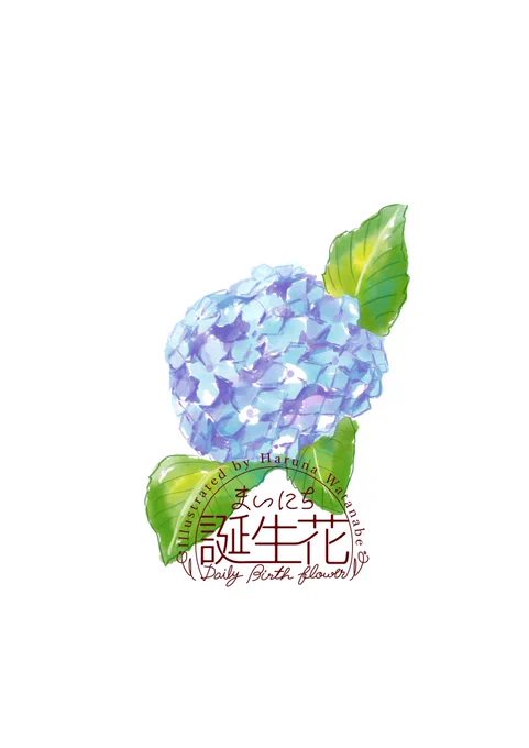 6月1日 アジサイ(青) 花言葉 寛容 #1日1絵 #まいにち誕生花