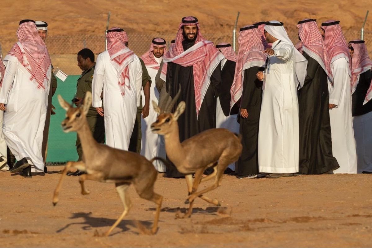 MadeInSaud_i's tweet photo. ♥️🇸🇦 https://t.co/twX3t02EnZ