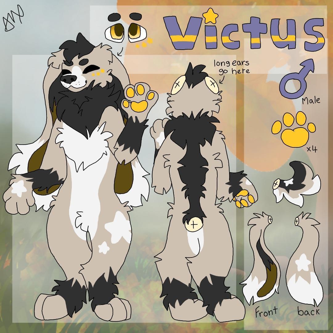 Victus tweet media