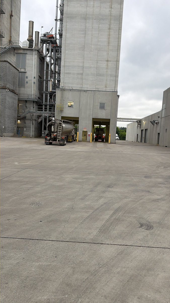 High Speed Chicken Feed tweet media