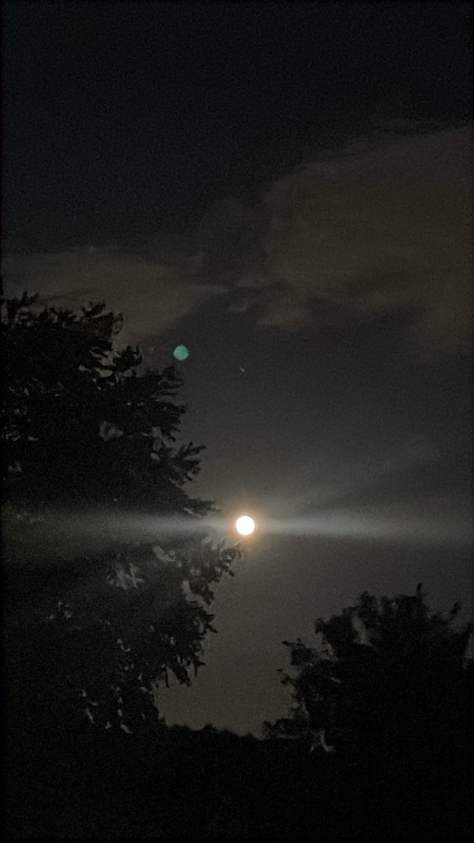 ATripWithJudi's tweet photo. Happy #BlueMoon 🌑✨ https://t.co/gxqLYZ7CGL